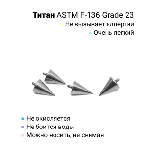 Интернал-конусы 4 х 6 мм (4 штуки) для украшений со стержнем 1,2 мм (резьба 0,9 мм). Титан. TBSI0946-4
